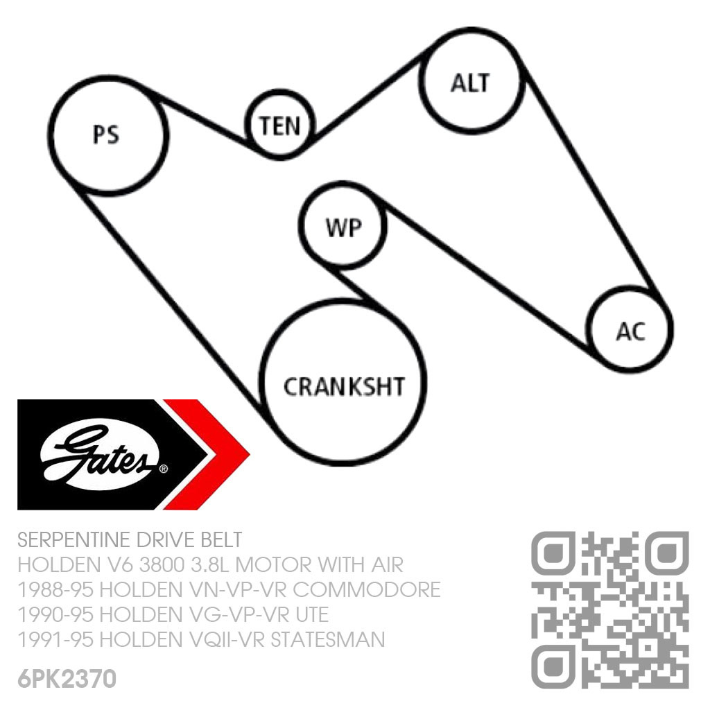 3800 serpentine discount belt diagram