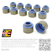 ENGINE PRO PERFORMANCE FLUOROVITON VALVE STEM SEALS [HOLDEN 6-CYL RED/BLUE/BLACK MOTOR]