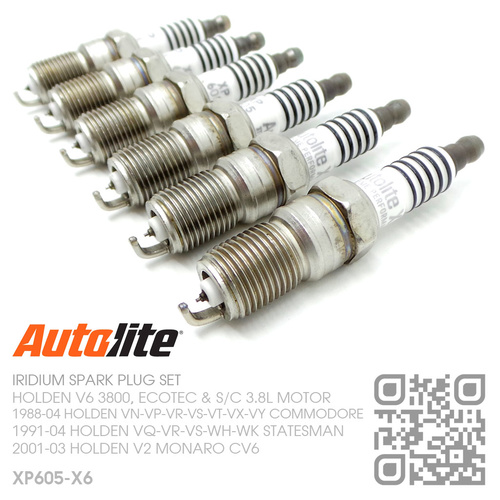 New STANDARD USA Coolant Temp Sensor+Connector Set For Holden Statesman VS WH WK